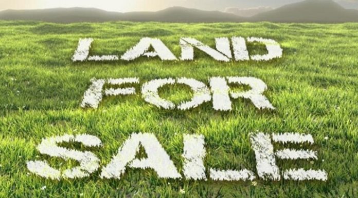 Masterpiece guide to avoid fraudsters when buying land in Kenya